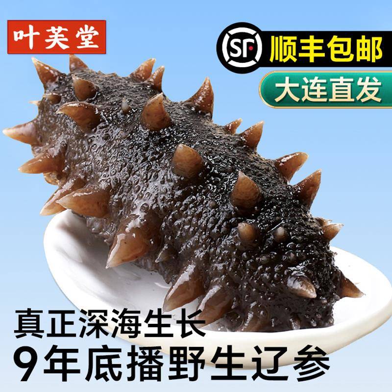 大连辽参鲜活野生即食海参官方经营店新鲜刺参一斤独立包装袋礼盒