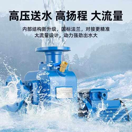 ZW自吸排污泵工业管道无堵塞污水泵高扬程抽水泵三相污水自吸泵