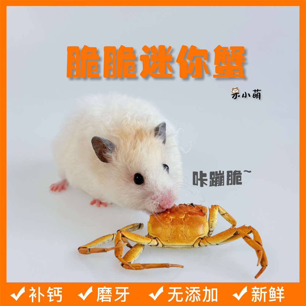 脆脆迷你螃蟹仓鼠金丝熊磨牙补钙烘干零食小螃蟹