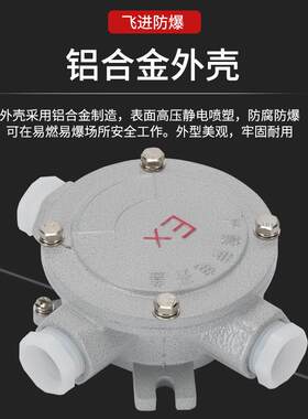 隔爆2C级CT6防爆接线盒 螺纹盖板 防爆三通 IIC四吊盖防爆接线盒