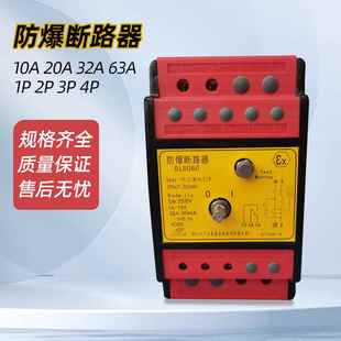 32A C防爆防腐断路器带漏电保护 63A BL8060 20A