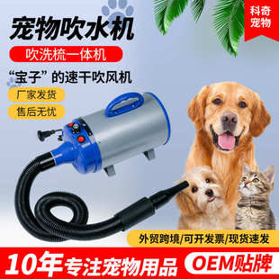 吹风机大功率金毛狗吹水机大型犬专用烘干洗澡泰迪吹水机