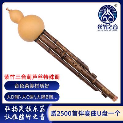 丝竹之音紫竹初学者乐器小学生儿童演奏特殊调c调降b调三音葫芦丝