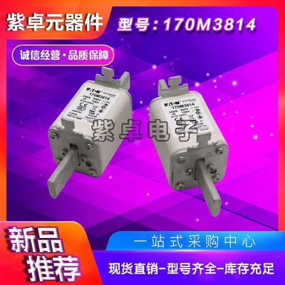 170M3814 170M3815 170M3816 170M3817 170M3818 170M3819熔断器