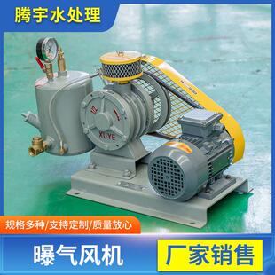 曝气风机一体化地埋式 鼓风机 污水处理好氧池曝气风机低噪音回旋式