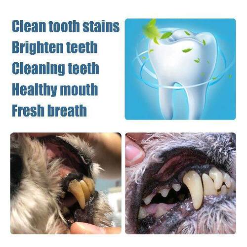 Pet Teeth Cleaning Pen Dog Teeth Cleaner Fresh Breath Cat &