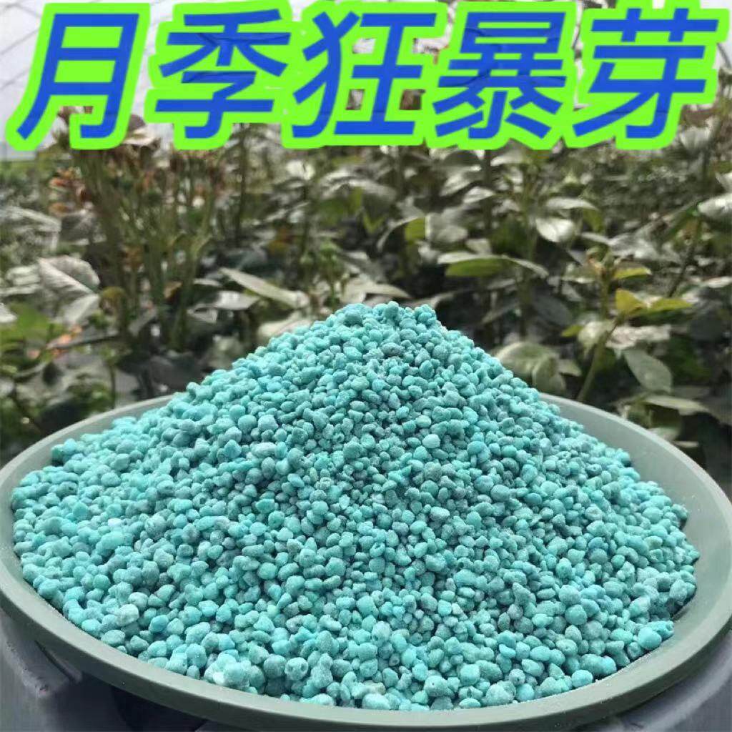 玫瑰月季花专用肥高钾高氮爆芽爆笋壮根爬藤地栽盆栽通用氮磷钾肥
