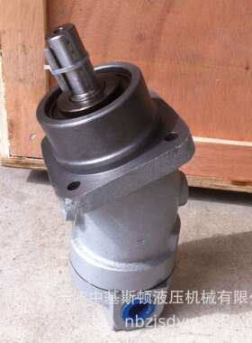 高转速高压力斜轴式柱塞液压马达A2F10W4P1