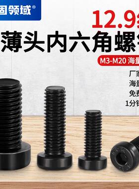 DIN7984矮头内六角螺丝M3-M24圆柱头内六角螺栓薄头内六角螺钉