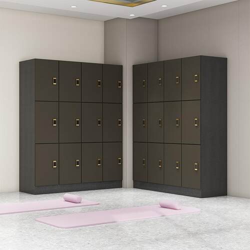 木质更衣柜洗浴中心游泳池健身房浴室柜子美容院瑜伽馆医院储物柜