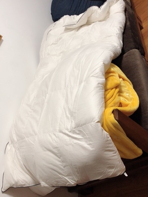 sidanda羽绒被质量真的差吗？上手体验说实情感受