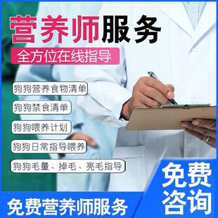 萨摩耶幼犬微笑天使萨摩耶犬幼犬活体宠物狗 纯种萨摩耶幼犬熊版