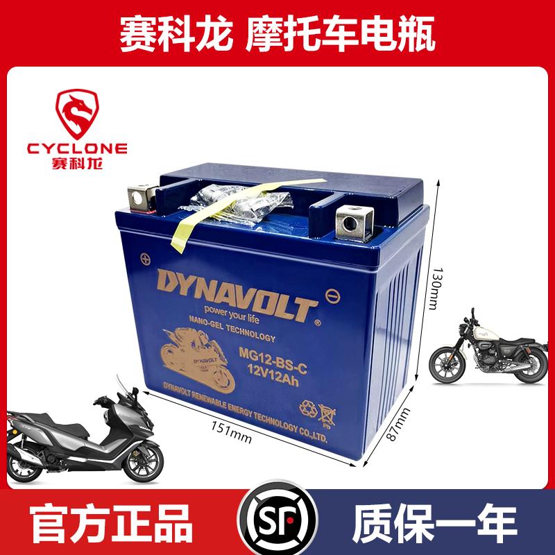 赛科龙摩托车蓄电池rt3 ra2 rt2 re3 rx3s rt1 rx1 猛狮原厂电瓶