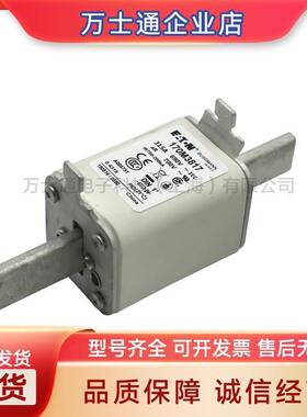 170M3951170M3952170M3953170M3954170M3955170M3956熔断器现货