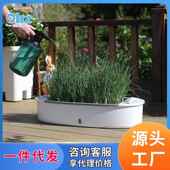 欧林菜泽厂家D26体储水种植箱多立层种菜盆0阳台D206庭院种盆