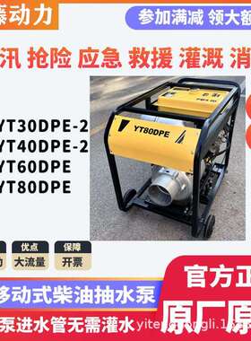 YT80DPE伊藤动力8寸柴油机抽水泵防汛排涝应急自吸泵抽水机双缸