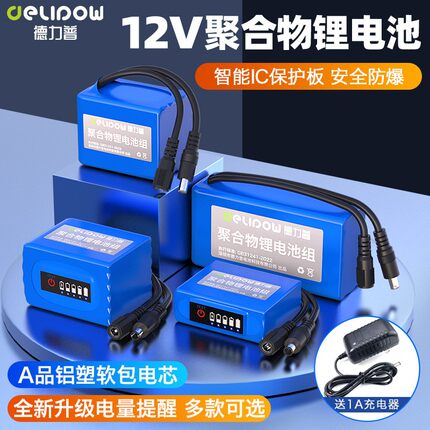 德力普12V聚合物锂电池电量显示大容量24v锂电电池12伏锂电池组