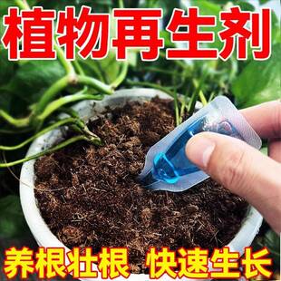 Plant Revival Solution - Universal Nutrient Liquid for Flowe