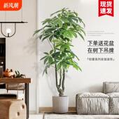 仿真绿植高端轻奢发财树室内客厅装 饰摆件大盆栽仿生植物假花摆设