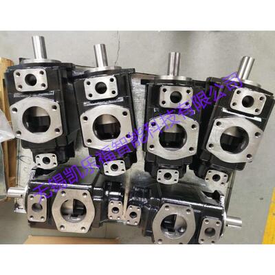 T7DB-045-B05,T7DB-045-B04,T7DB-045-B03价格 叶片泵厂家