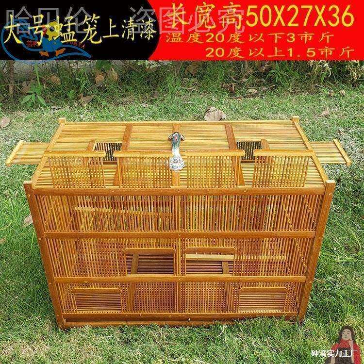 蚱笼子昆虫养殖喂养蚂蚱笼蝈蝈蚱蜢箱笼虰蜢蟋蟀笼鸟类防晒防撞