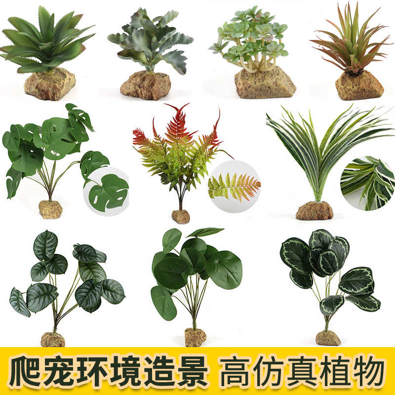 环境造景仿真植物爬宠饲养箱蜥蜴守宫黄缘龟热带雨林装饰龟缸绿植