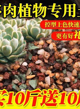 多肉颗粒土75%颗粒专用土营养土椰糠土泥炭土肉肉铺面石纯颗粒土