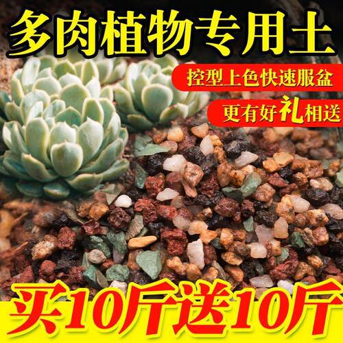 多肉颗粒土75%颗粒专用土营养土椰糠土泥炭土肉肉铺面石纯颗粒土
