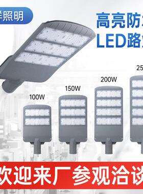 LED路灯户外IP66防水路灯100W200W星舰路灯头外贸款道路路灯宽压