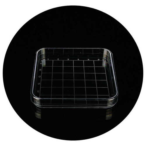 培养皿厂家塑料直供培养皿35mm60mm70mm90mm100mm130mm一次性无菌