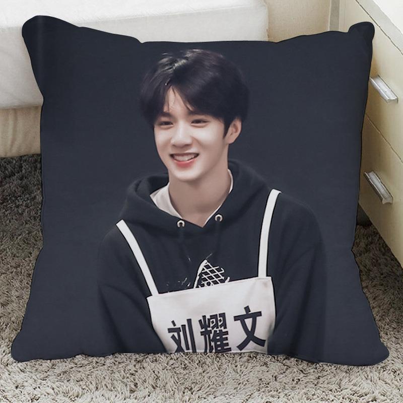 刘耀文手办周边抱枕来图