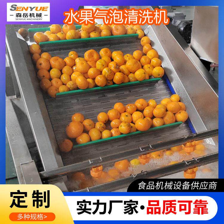 工厂用果蔬气泡清洗机桑葚鼓泡翻浪清洗机杨梅连续式清洗风干线