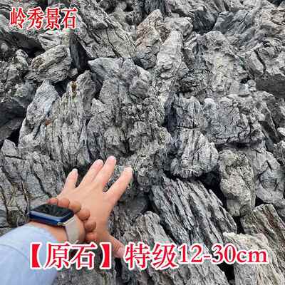 1矿山12993鱼缸造作景酸洗青龙石小盆景微景观假山制块英石吨起批