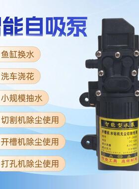 12GPB家用抽水微22水泵潜水型泵开槽机切割0机自吸水钻钻机厂泵家