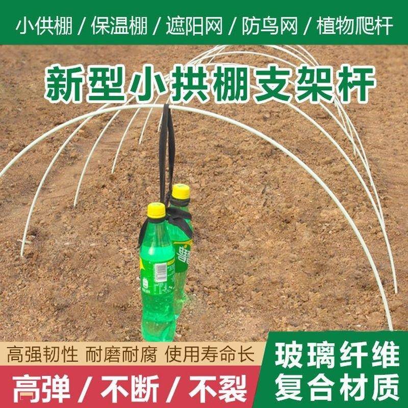 竹拱棚支架植物支撑瓜果弓棚防虫大鹏基地育苗玻璃棒长杆菜园搭棚