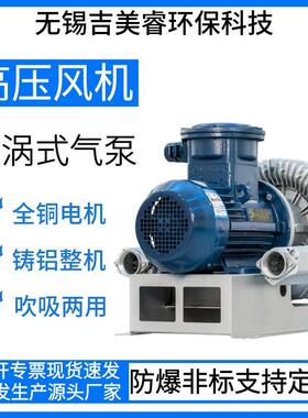 防爆高压风机DIIBT4/DIICT4高压漩涡气泵负压真空气泵污水处理用