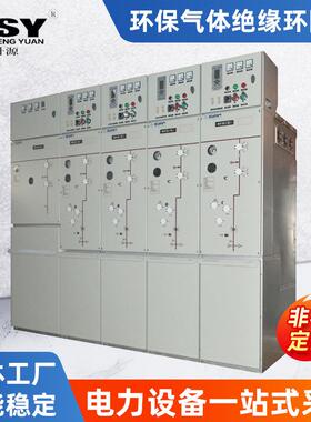 DSY-CV-12 环保气体绝缘环网柜 开闭所充气柜 现货
