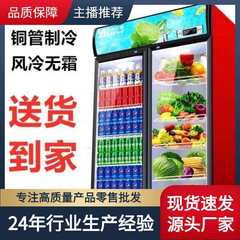 展示柜冷藏超市冰柜商用冰箱双开门立式啤酒饮料柜保鲜柜节能其他