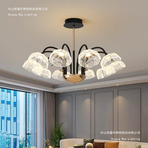 2025年新款美式轻奢客厅吊灯现代简约餐厅灯大气主卧房间中山灯具