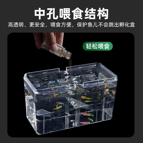斗鱼孵化孵化其它水族用具设备