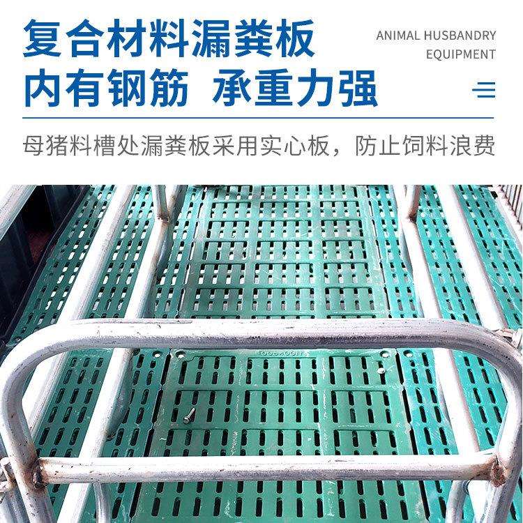 母猪产床保育床一体两用双体猪用限位栏定位栏复合板漏粪养殖设备