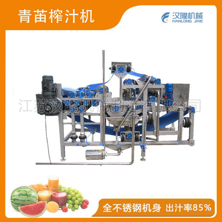 厂家供应大型工业商用工业麦苗苹果石榴青苗梅干菜豆腐榨菜榨汁机