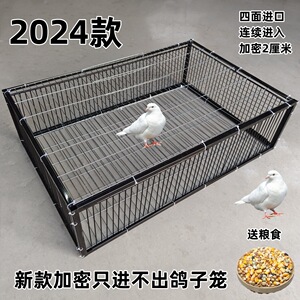信鸽子神器全自动鸽笼收补楼顶户外鸽加密天落笼只进不出活络撞门