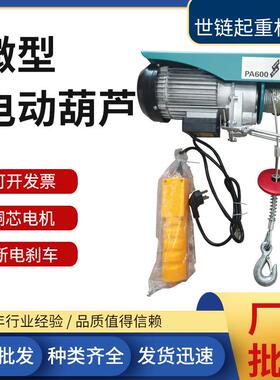 220V微型电动葫芦pa400PA600家用吊机小型提升机钢丝绳电动葫芦
