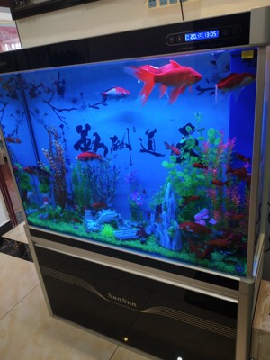 讲讲看森森鱼缸怎么样评测有如何优缺点？