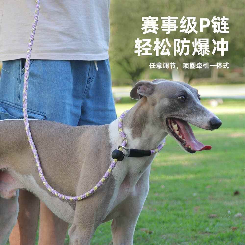 栓狗防爆冲P链 灵缇惠比特中大型细犬一体式训犬遛狗防挣脱牵引绳