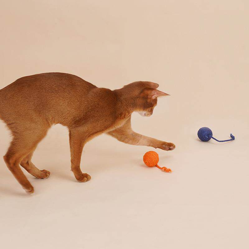 eQESze猫玩具逗猫棒耐咬猫薄荷球猫猫玩玩具装猫咪具自z嗨幼猫套