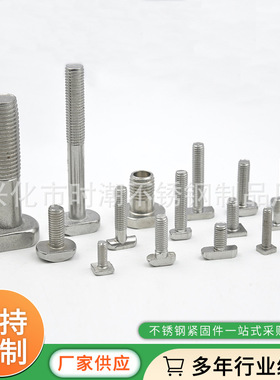 厂家直供 不锈钢T型螺栓 G21GB37/30/316 0B37 槽用4T型螺栓丝