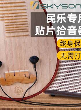 天音琵琶拾音器中阮月琴马头琴舞台演出专用民族乐器专业扩音器