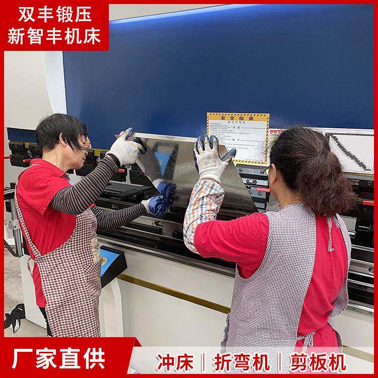 双丰110T×3000伺服数控折弯机卧式液压板料折边机金属板材加工